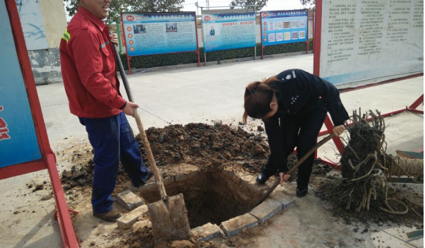播下綠色樹種,放飛中國偉志的希望