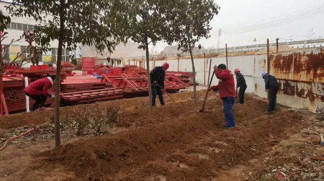 鋼模板廠家播下希望，收獲果實(shí)