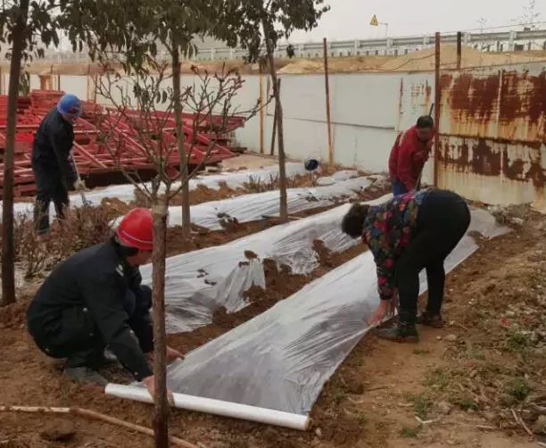 鋼模板廠家播下希望，收獲果實(shí)