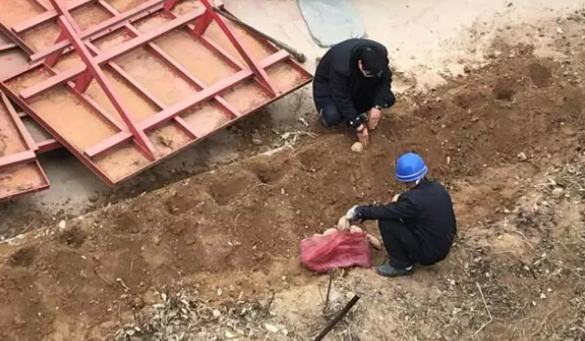 鋼模板廠家播下希望，收獲果實(shí)