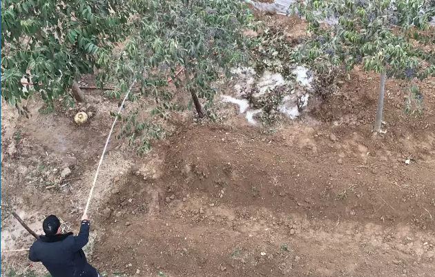 鋼模板廠家播下希望，收獲果實(shí)