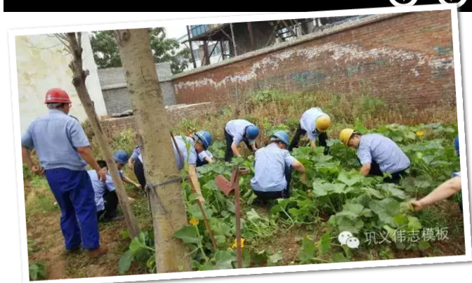 員工冒雨參加義務(wù)勞動(dòng)!感動(dòng)———偉志鋼模板廠家