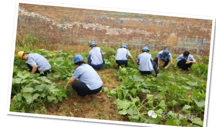 員工冒雨參加義務(wù)勞動(dòng)!感動(dòng)———偉志鋼模板廠家