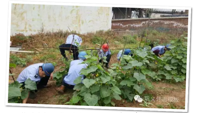 員工冒雨參加義務(wù)勞動(dòng)!感動(dòng)———偉志鋼模板廠家