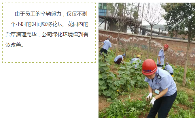 員工冒雨參加義務(wù)勞動(dòng)!感動(dòng)———偉志鋼模板廠家