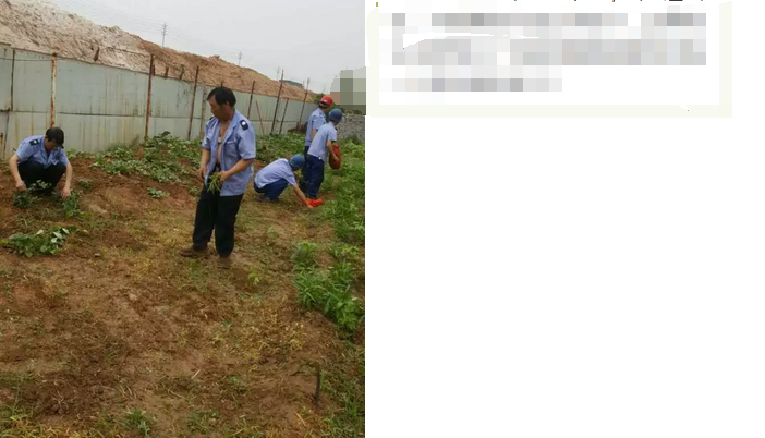 員工冒雨參加義務(wù)勞動(dòng)!感動(dòng)———偉志鋼模板廠家