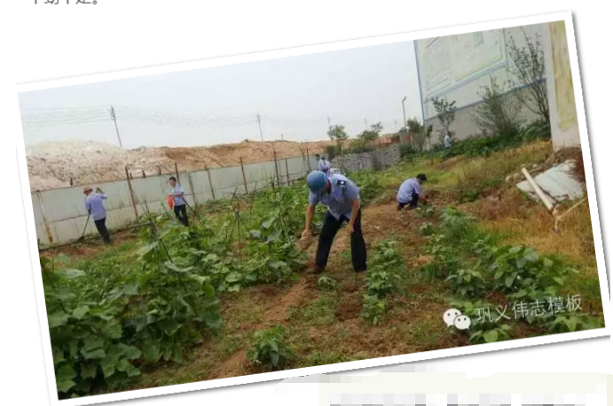 員工冒雨參加義務(wù)勞動(dòng)!感動(dòng)———偉志鋼模板廠家