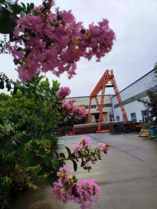 紫薇花開時,偉志迎貴客